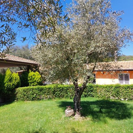 Casa Vacanza Centro Sardegna Sorgono Экстерьер фото