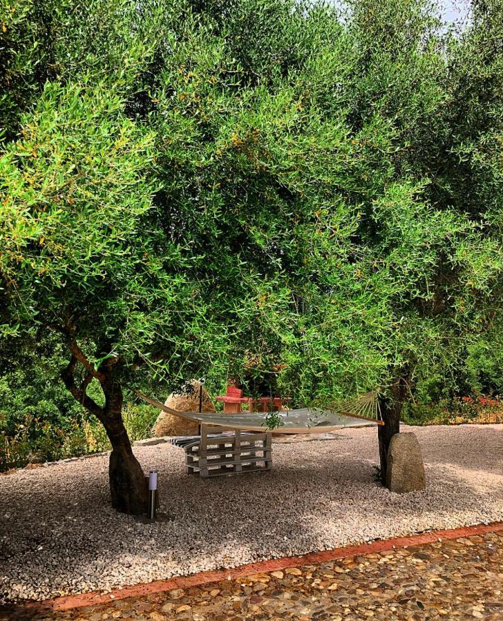 Casa Vacanza Centro Sardegna Sorgono Экстерьер фото