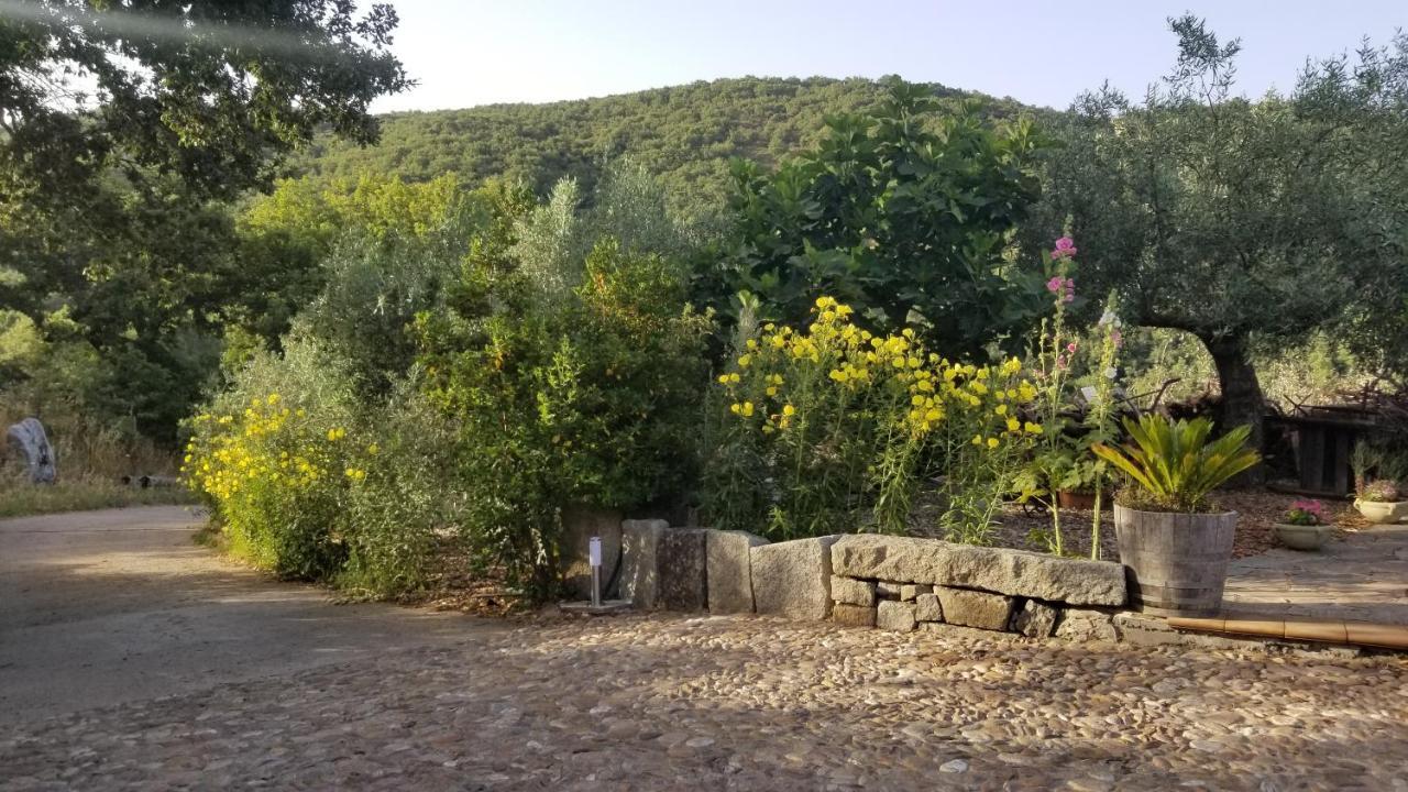 Casa Vacanza Centro Sardegna Sorgono Экстерьер фото