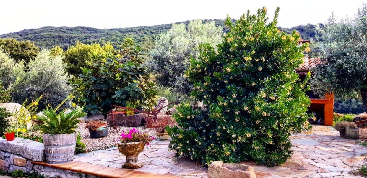 Casa Vacanza Centro Sardegna Sorgono Экстерьер фото