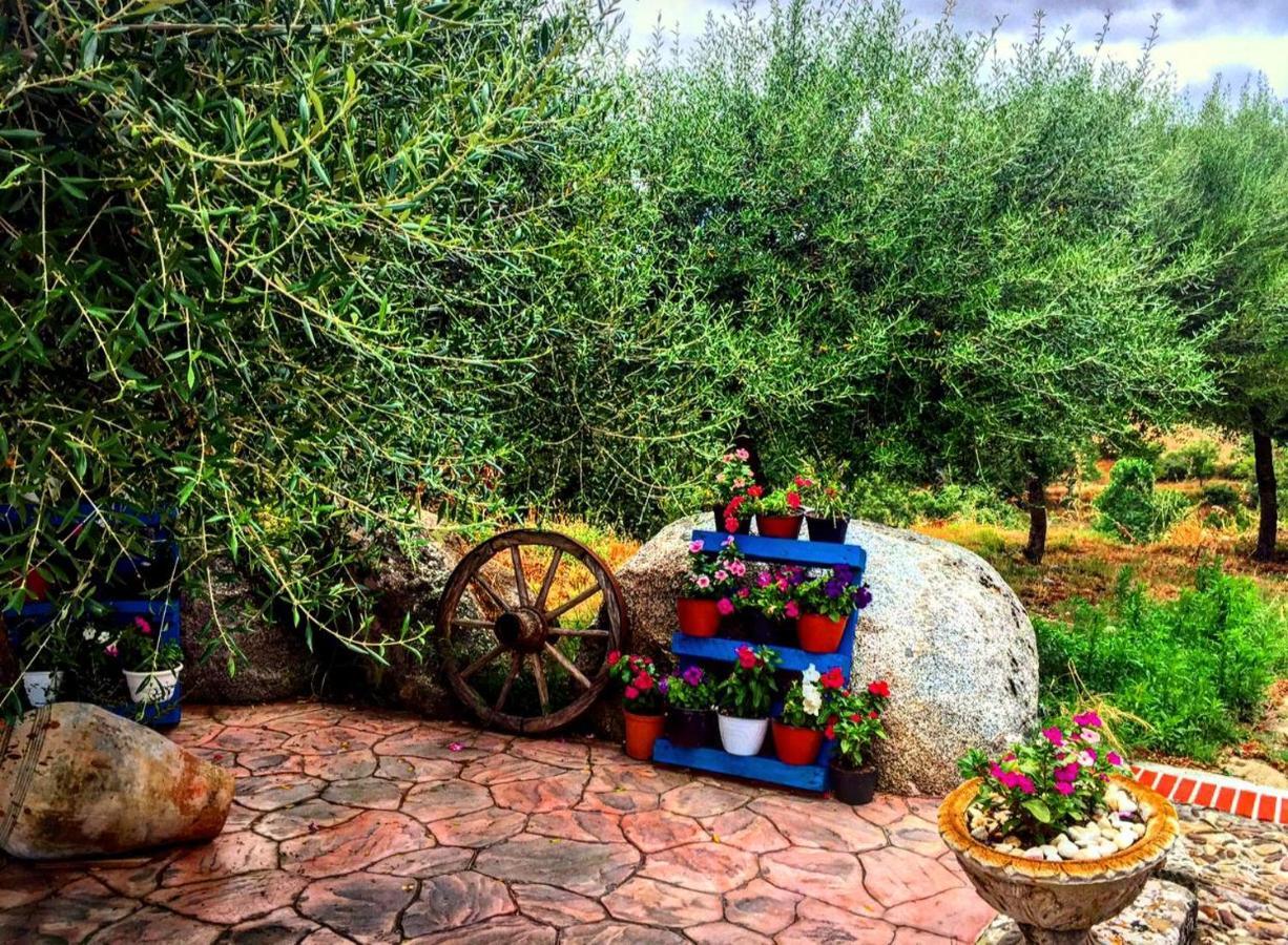Casa Vacanza Centro Sardegna Sorgono Экстерьер фото